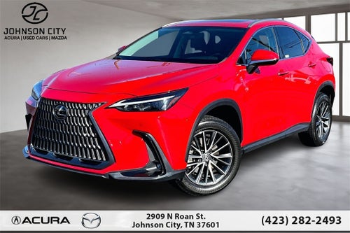 2024 Lexus NX 250 Premium