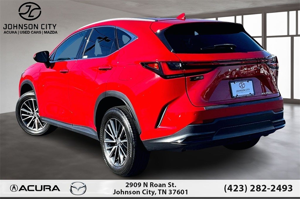 2024 Lexus NX 250 Premium