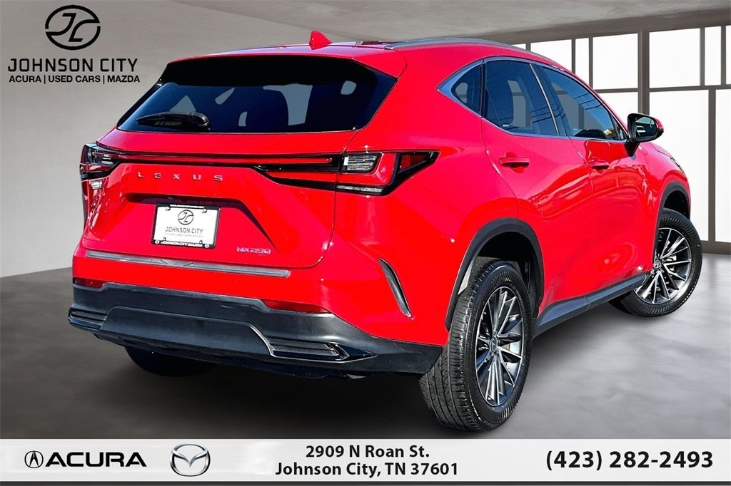 2024 Lexus NX 250 Premium