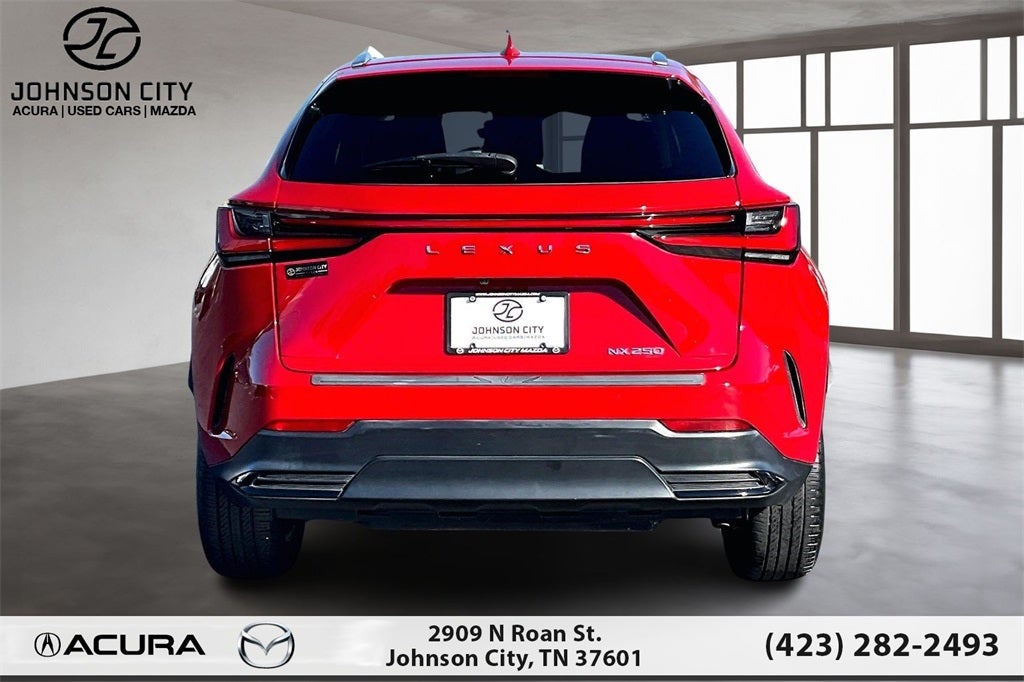 2024 Lexus NX 250 Premium