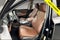 2024 Acura MDX Advance SH-AWD