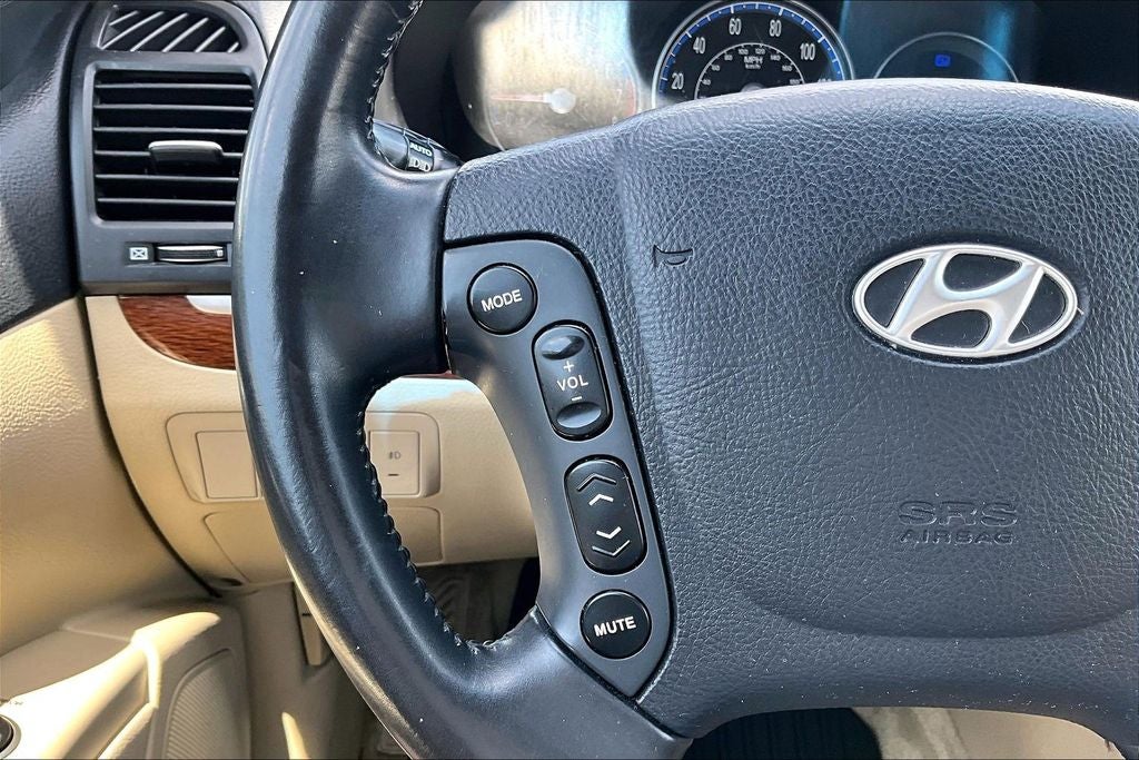 2007 Hyundai Santa Fe SE