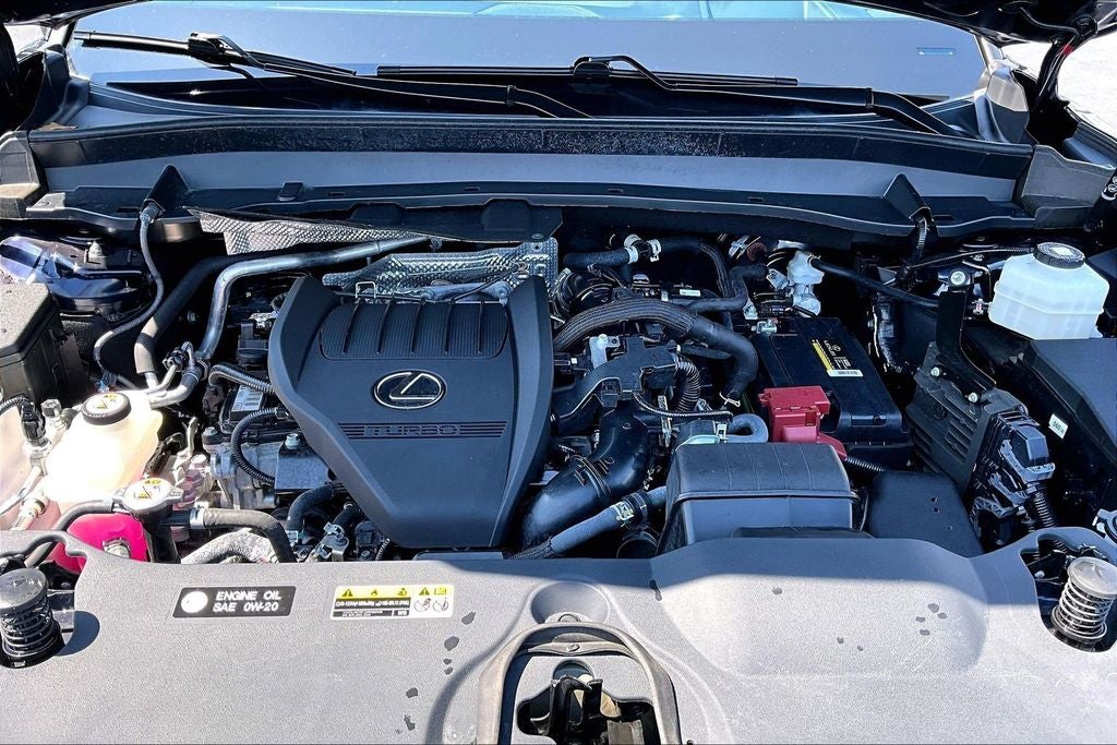 2024 Lexus TX 350 Luxury
